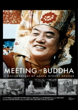 Filmplakat Meeting the Buddha